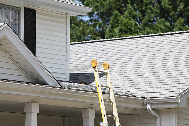 Best Siding Painting and Refinishing  in Cameron Park, TX